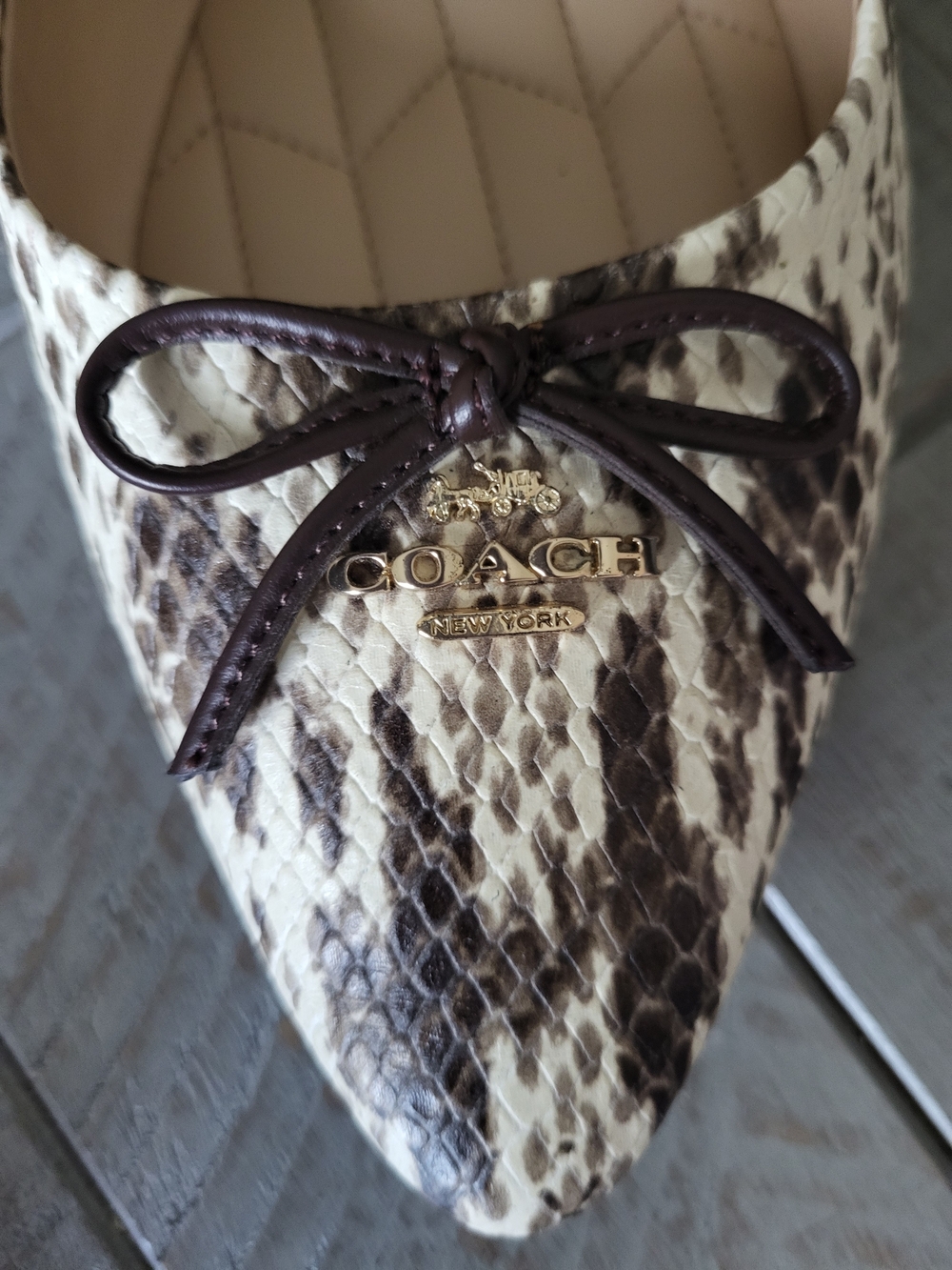 Coach Snake-Print Pointed Ballet Flats in Cream and Black - Picture 2 of 7